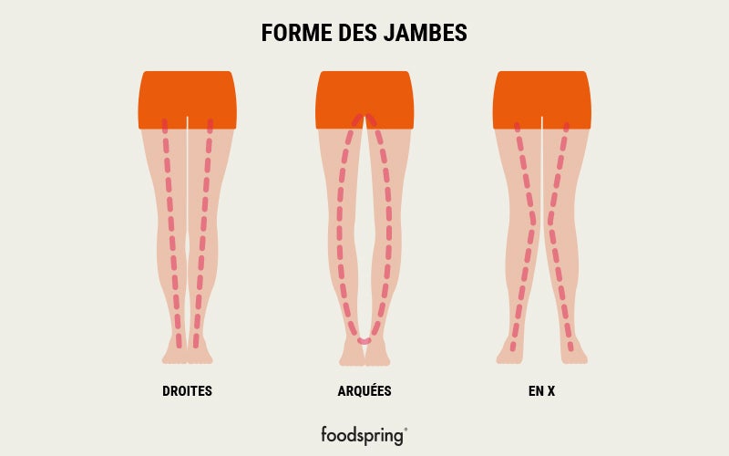 schéma forme des jambes