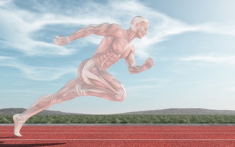 An image of a human body mid-stride running, with the muscles in red and the fascia outlined in white