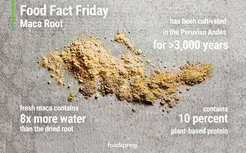 infographic of the benefits of maca: has been cultivated in the Peruvian Andes for more than 3,000 years. Contains 10 percent plant-based protein. Fresh maca contains 8x more water than the dried root.