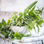 Herbs: From kitchen flavors to natural remedies