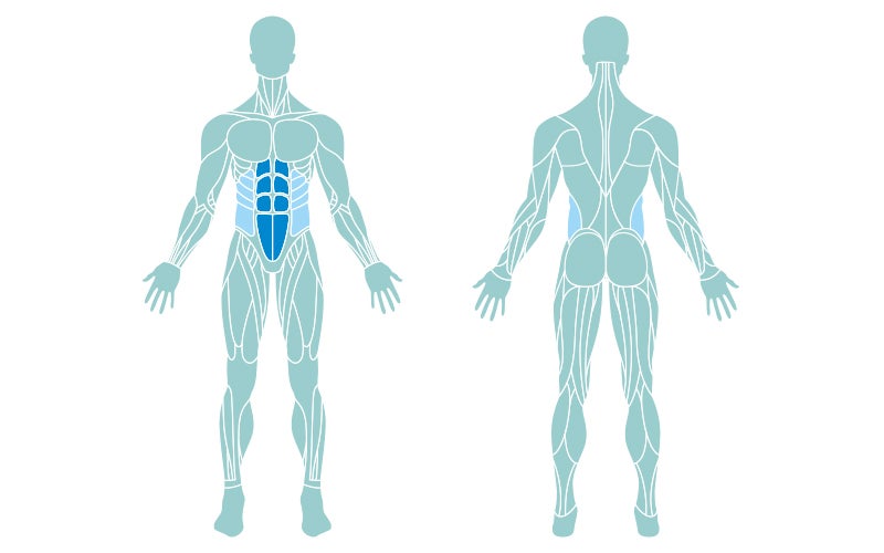 An image of the human body with muscles outlined. The muscles targeted by sit-ups are colored in dark blue with the supporting muscles shaded in lighter blue.