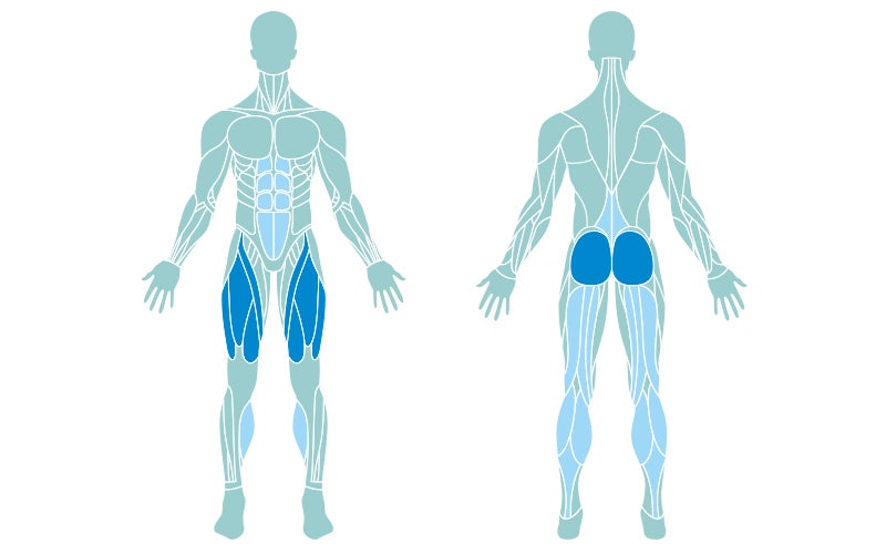 A muscle map detailing the muscles used in lunges. The primary muscles are highlighted in dark blue, and the secondary muscles are highlighted in light blue. They are discussed below.