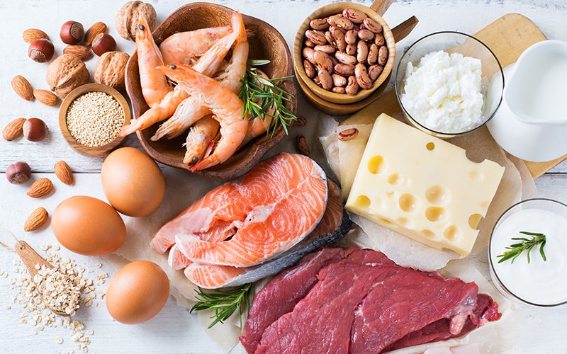 Régime protéiné : Programme alimentaire pour perte de poids