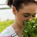 Lemon balm for an all-natural sense of calm