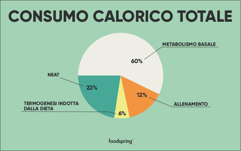 infografica consumo calorico totale