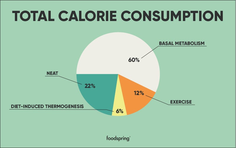 A pie chart displays the percentage of total calorie consumption used by basal metabolism (60%), exercise (12%), diet-induced thermogenesis (6%), and NEAT (22%).