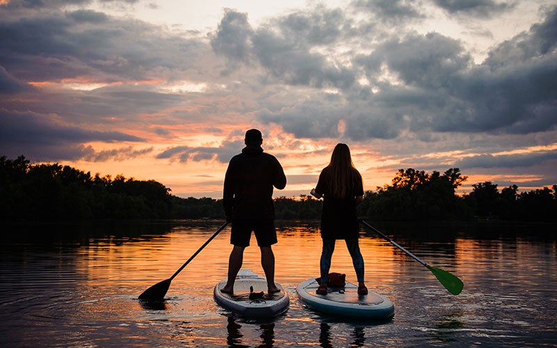 Two athletes seen from behind on stand up paddle boards. They are seen in silhouette, look to be a man and a woman, and are gazing at a sunset directly in front of them with gray clouds turned pink and orange and the silhouettes of leaves at the edge of the horizon.