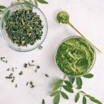 Moringa benefits, use, and cool facts about the miracle tree